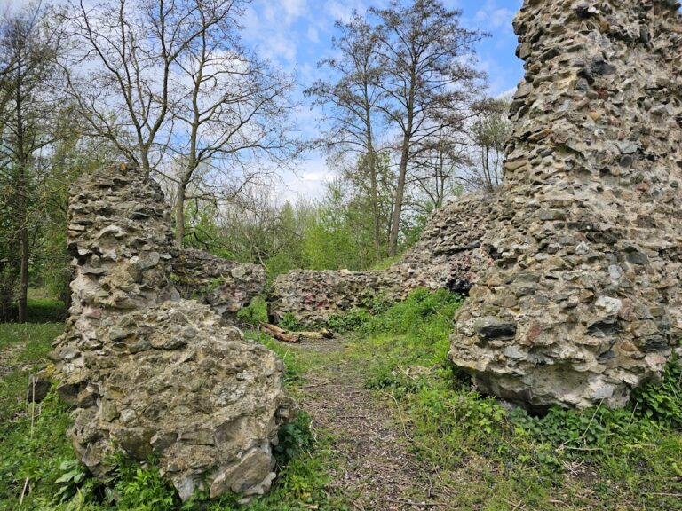 Burg Erprath: A Medieval Lowland Castle in Germany