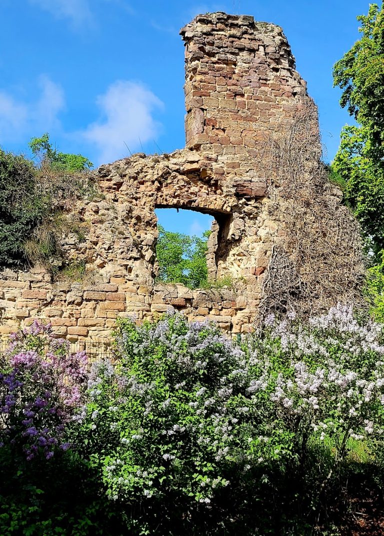 Burg Nebra: A Hilltop Castle in Germany