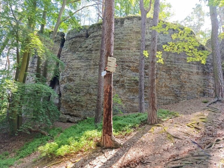 Pustý zámek: A Ruined Gothic Rock Castle in Czechia