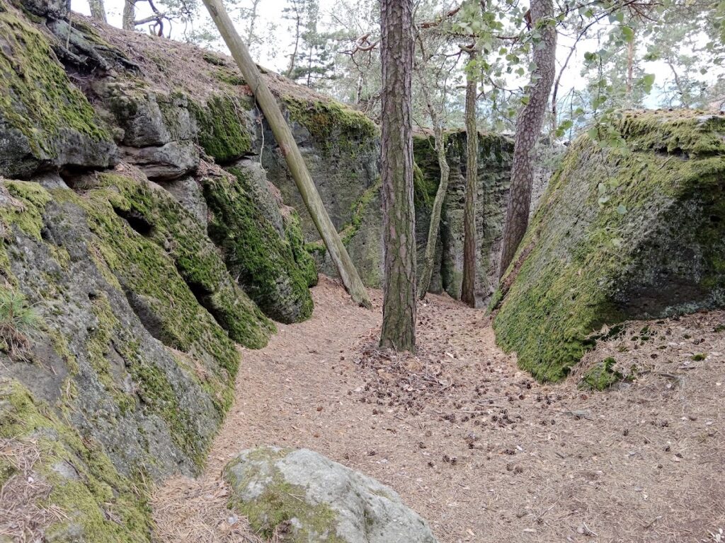 Pustý zámek: A Ruined Gothic Rock Castle in Czechia 2 Pustý zámek