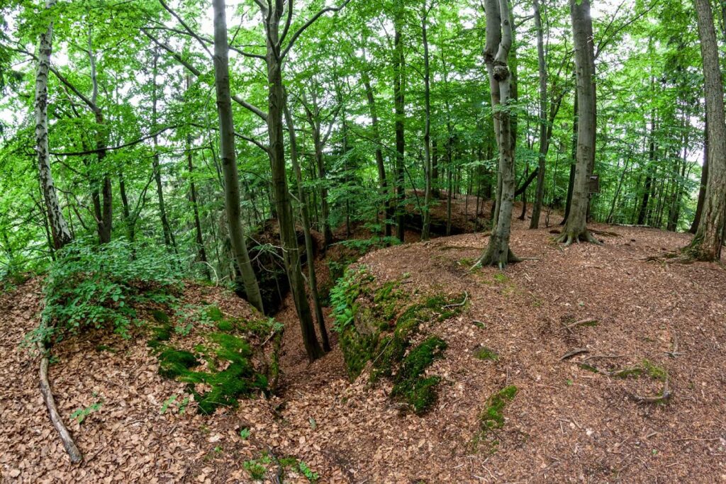 Rechenburk: A Thirteenth-Century Colonization Castle in Czechia 2 Rechenburk