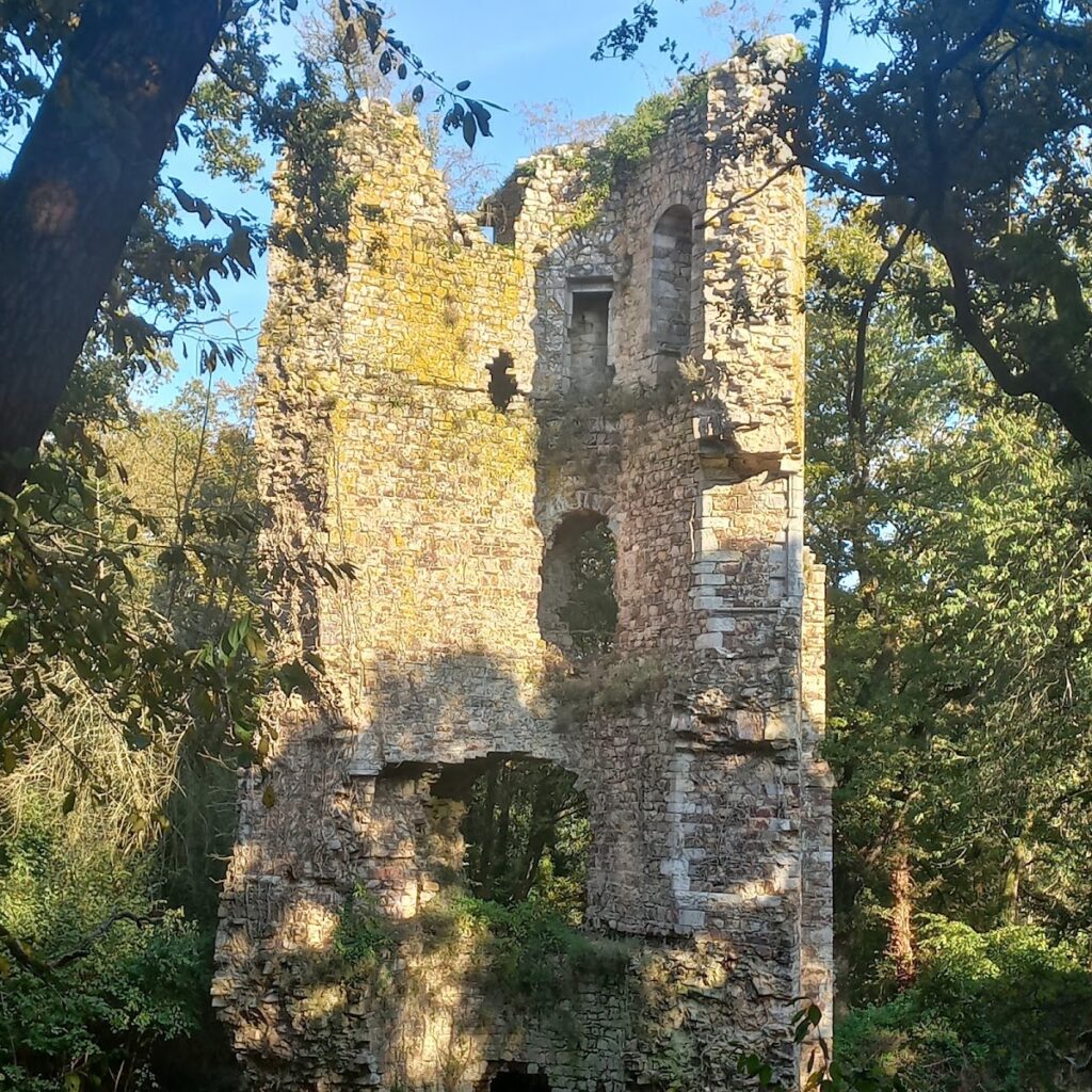 Tour Saint-Clair: The Ruined Keep of Château de Derval 2 Tour Saint-Clair