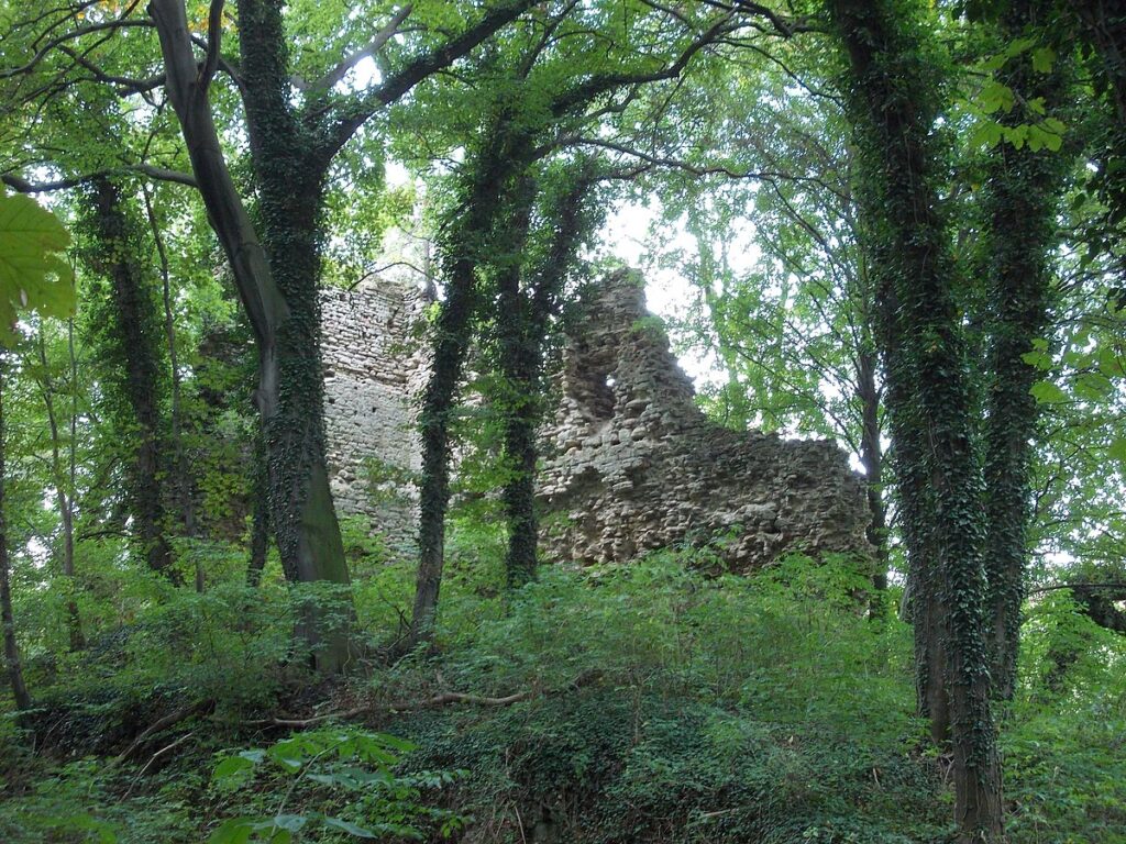 Breitenbach Imperial Castle: A Medieval Royal and Episcopal Fortress in Germany 2 Breitenbach Imperial Castle