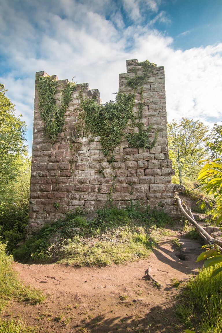 Petit-Geroldseck Castle: A Ruined Hill Castle in France