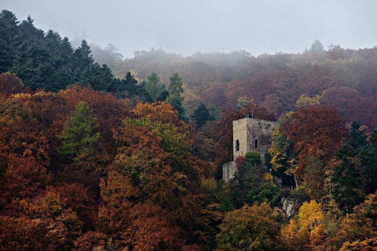 Burg Alt-Wolfstein: A Hohenstaufen Castle in Germany