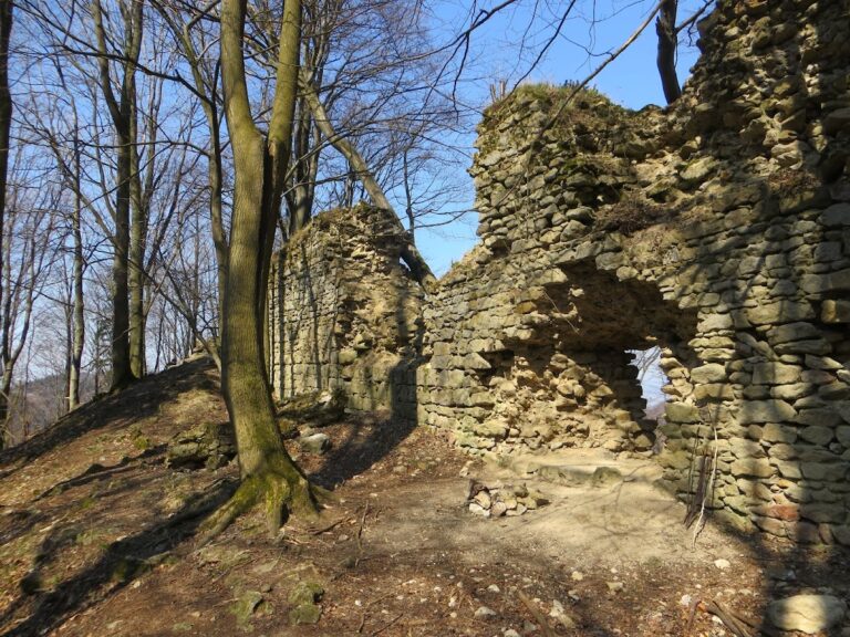 Obřany Castle: A Ruined Medieval Stronghold in Czechia