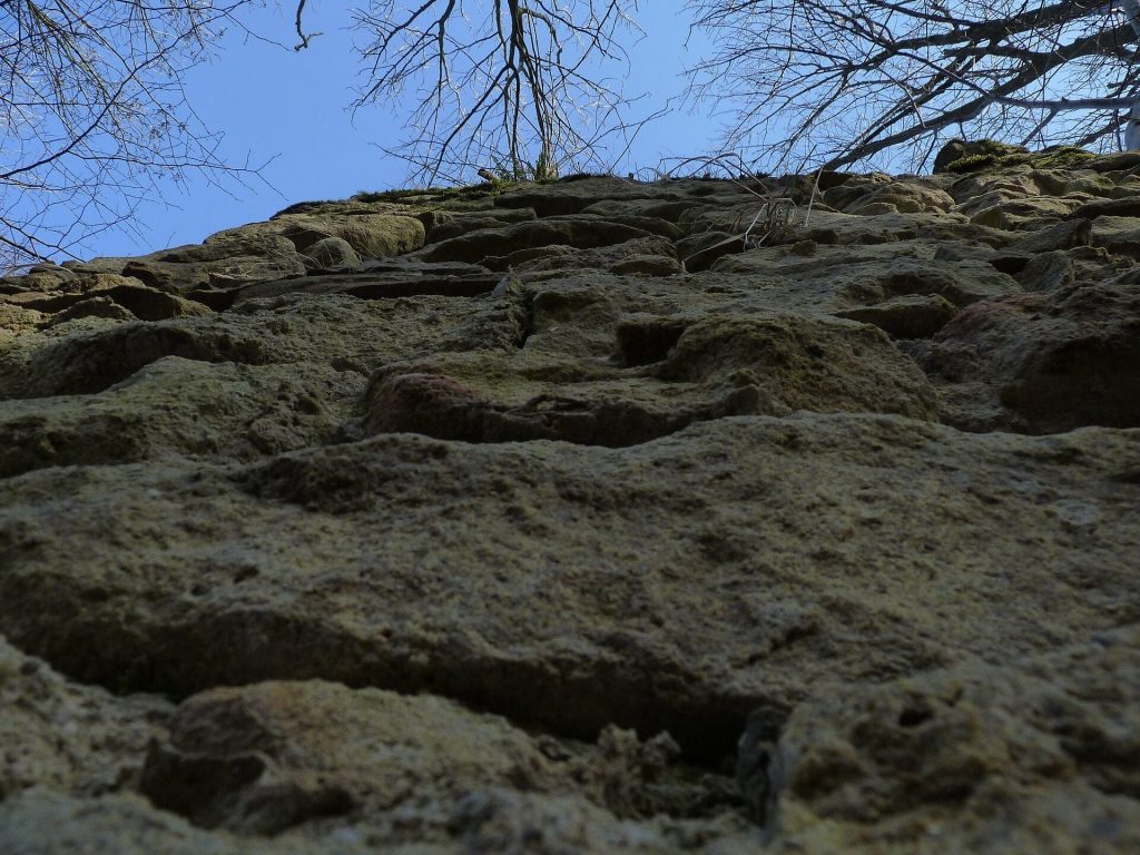 Obřany Castle