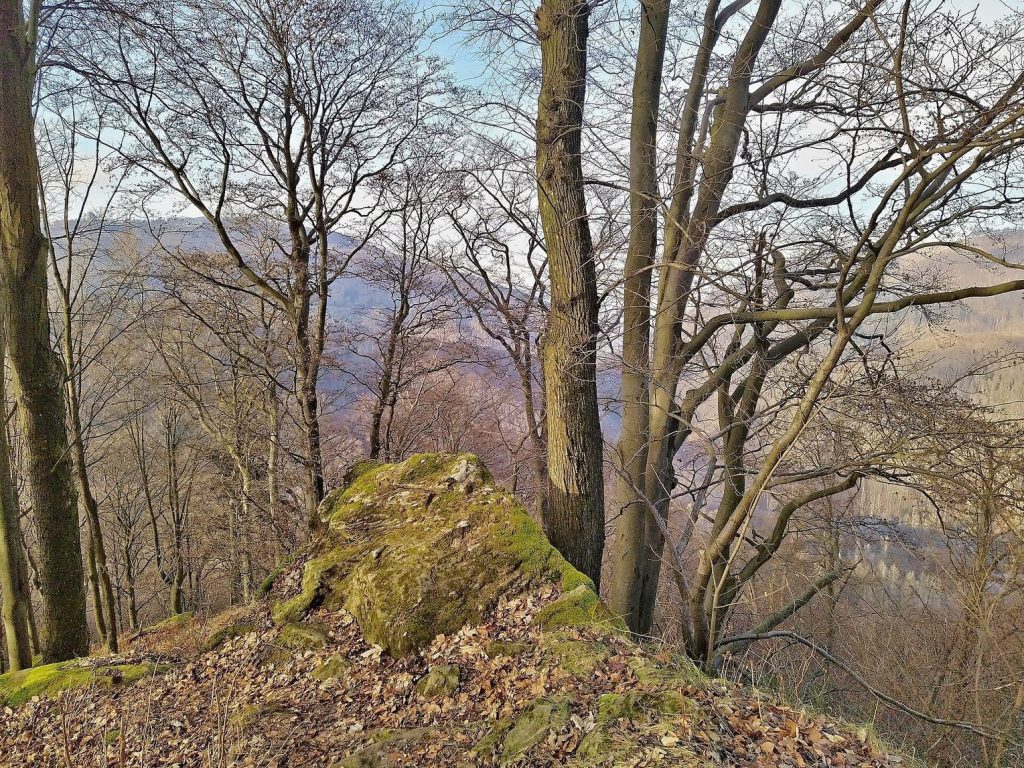 Obřany Castle