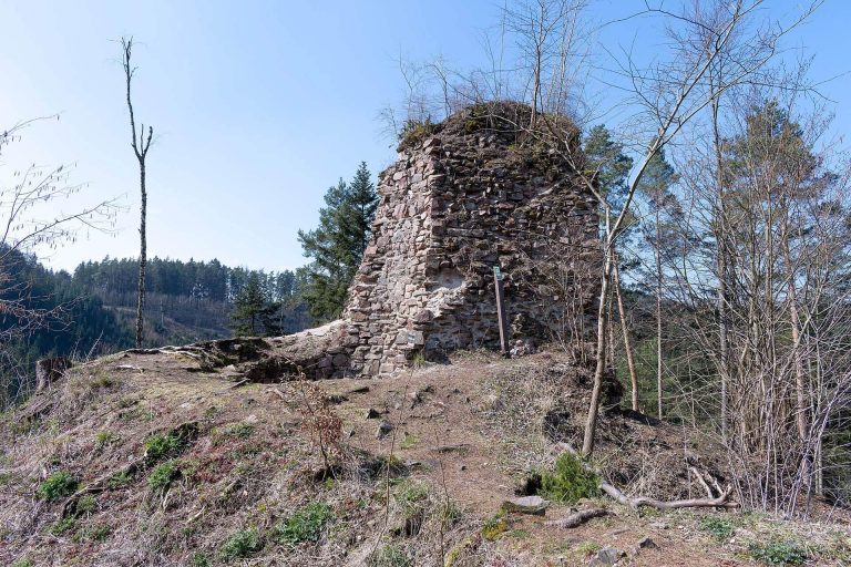 Aueršperk: A Ruined Early Gothic Noble Castle in Czechia