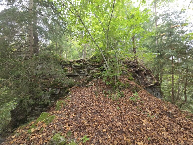 Burg Wildenstein (Horgen): A Medieval Spur Castle in Germany
