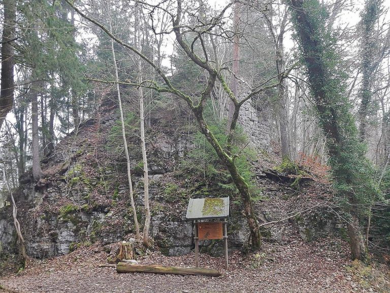 Burg Wildenstein (Horgen): A Medieval Spur Castle in Germany