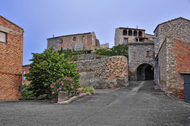 Castell de Granyanella: A Medieval Castle and Enclosed Village in Spain