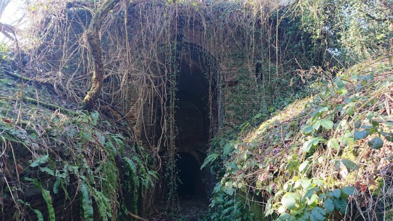 Fort Dubois: A Nineteenth-Century Blocking Fort in France