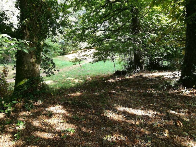 Camp des Rouëts: An Early Medieval Military Camp in France