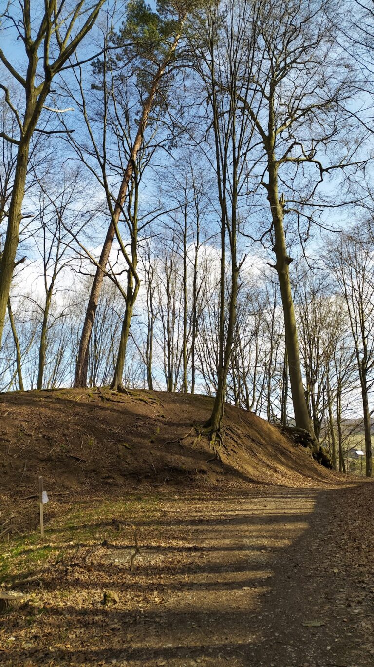Čertův hrádek: A Gothic Castle Ruin in Czechia