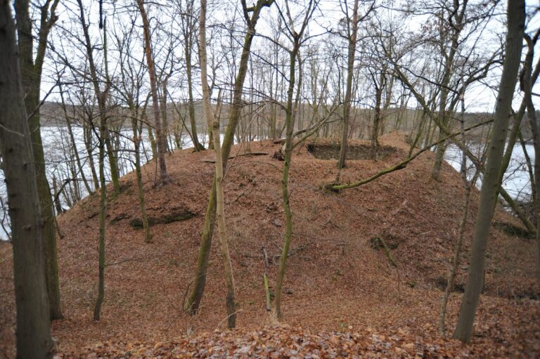 Čalonice: A Medieval Castle in Czechia