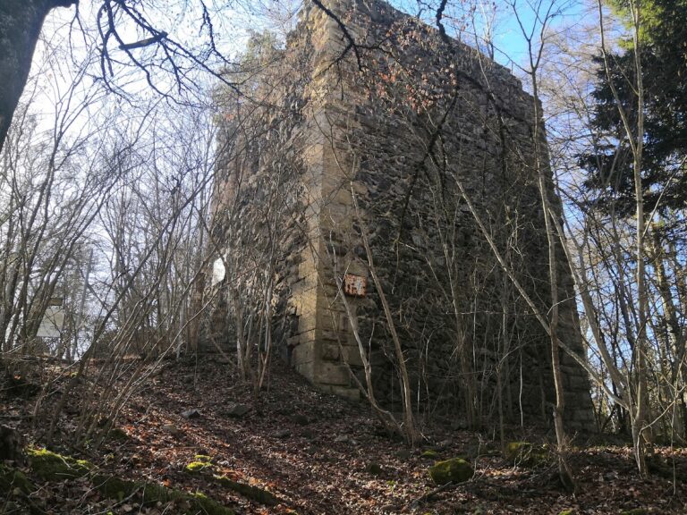 Burg Neuhewen: A Medieval Hilltop Castle Ruin in Germany