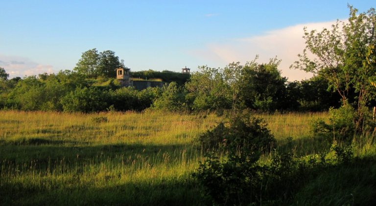 Fort de Domgermain: A Séré de Rivières Perimeter Fort in France