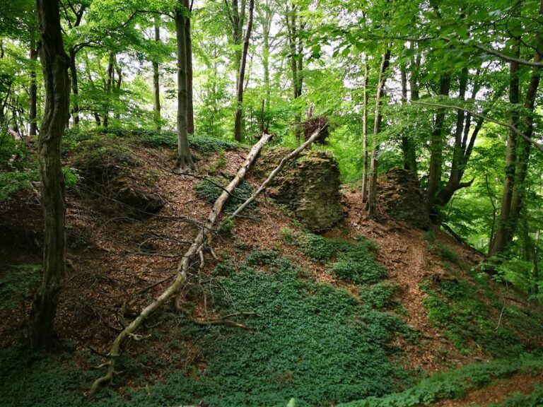 Vraní Hora: A Ruined Gothic Castle in Czechia