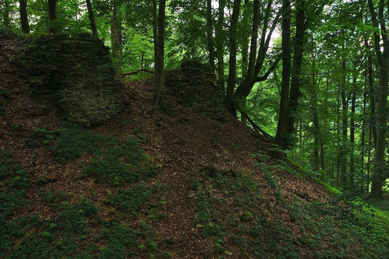 Vraní Hora: A Ruined Gothic Castle in Czechia