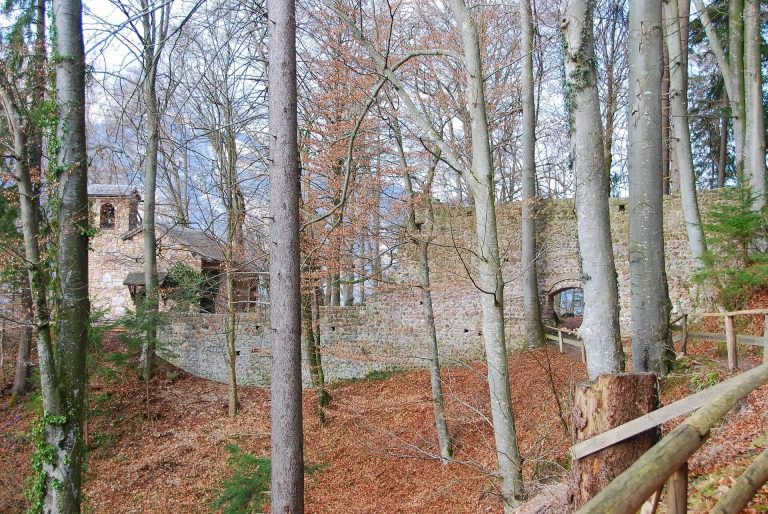 Rottenburg Castle Ruins: A Medieval Hilltop Castle in Austria