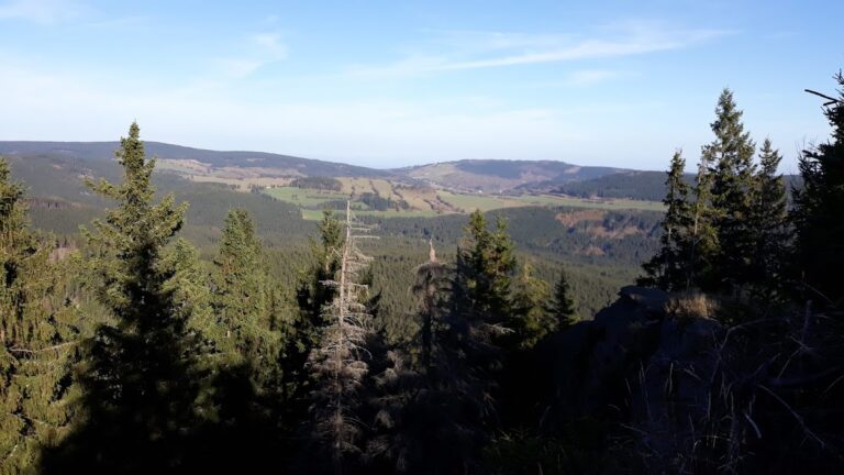 Quinburg: A Late-Thirteenth-Century Guard Castle Ruin in Czechia
