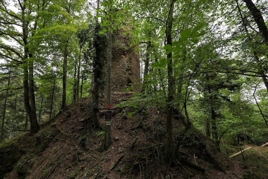 Reichenstein Castle: A Ruined Medieval Fortress near Riquewihr, France 2 Château de Reichenstein