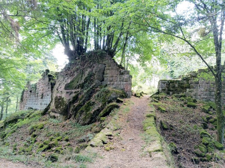Château du Grand Ringelstein: A Medieval Hill Castle in France