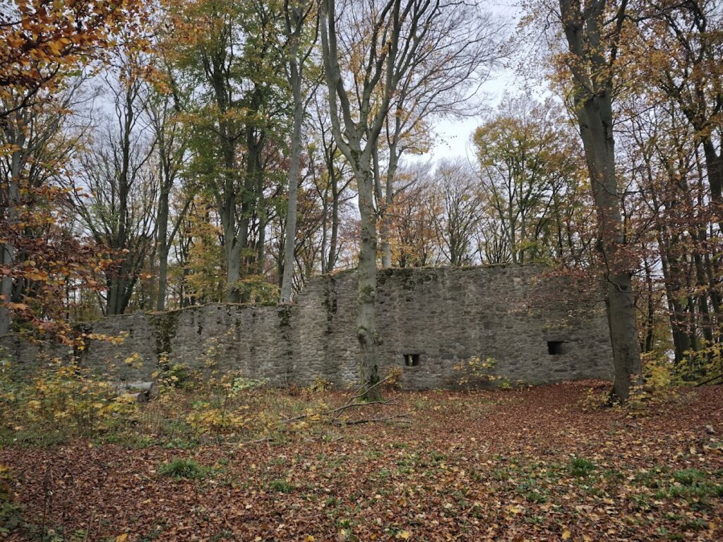 Burg Landeck: A Medieval Administrative Castle in Germany 1 Burg Landeck
