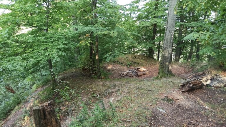 Křídlo: A Gothic Castle Ruin in Czechia