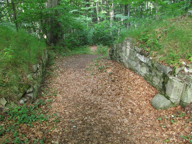 Křídlo: A Gothic Castle Ruin in Czechia
