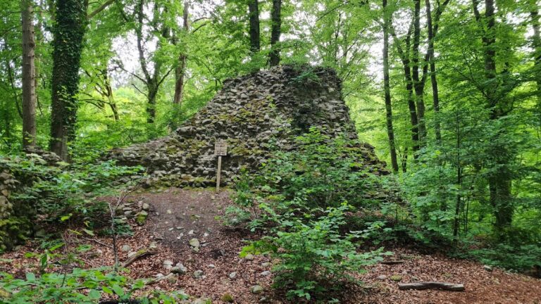 Ruine Alt-Dettingen: Remains of a Medieval Lowland Castle in Germany