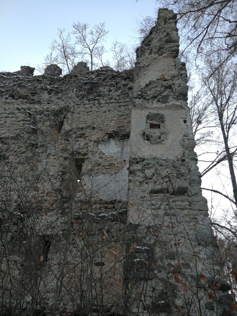 Ruine Alt-Dettingen: Remains of a Medieval Lowland Castle in Germany 2 Ruine Alt-Dettingen