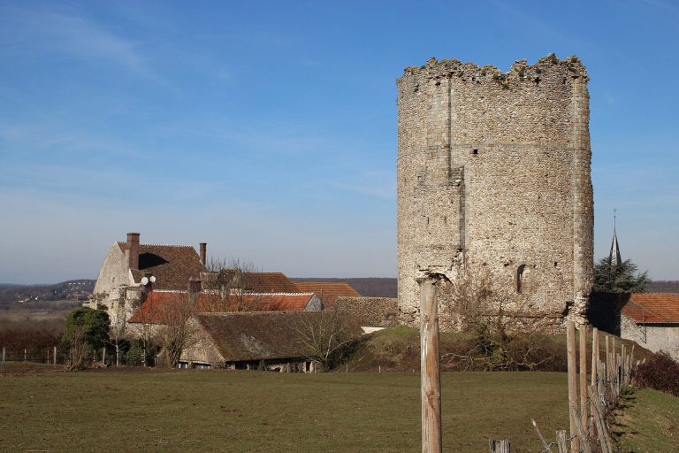 Donjon de Maurepas: Medieval Fortified Keep in France