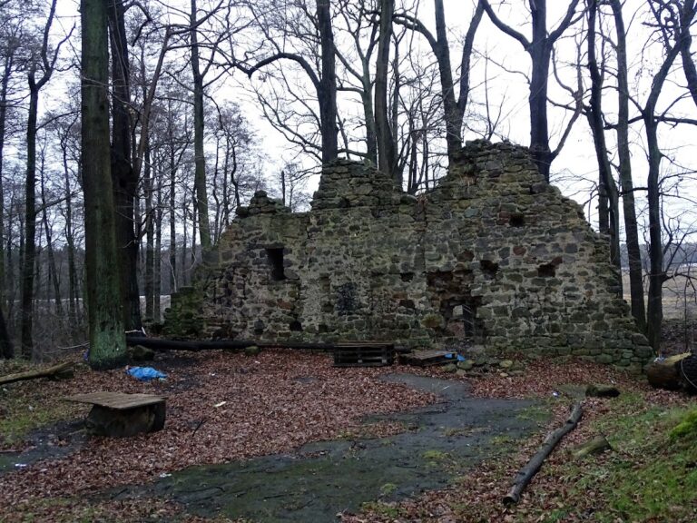 Castle in Warta Bolesławiecka: A Medieval Stronghold and Renaissance Manor Site