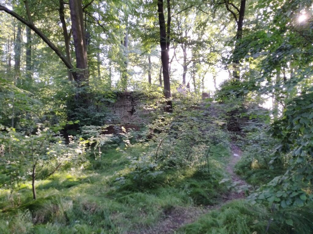 Castle in Warta Bolesławiecka: A Medieval Stronghold and Renaissance Manor Site 2 Castle in Warta Bolesławiecka