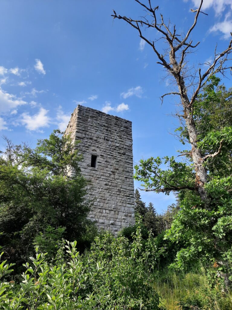 Burgruine Steinegg: A 12th-century Hill Castle near Bonndorf