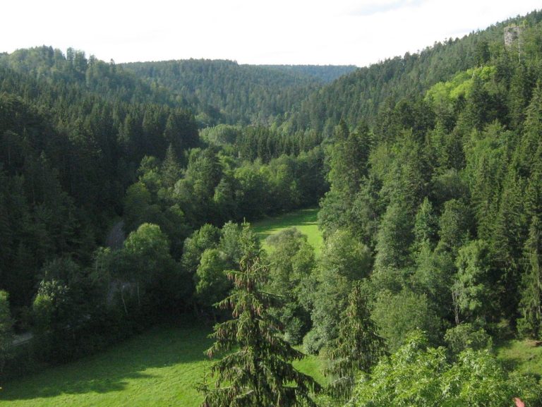 Burg Steinegg: A Medieval Castle Ruin in Germany