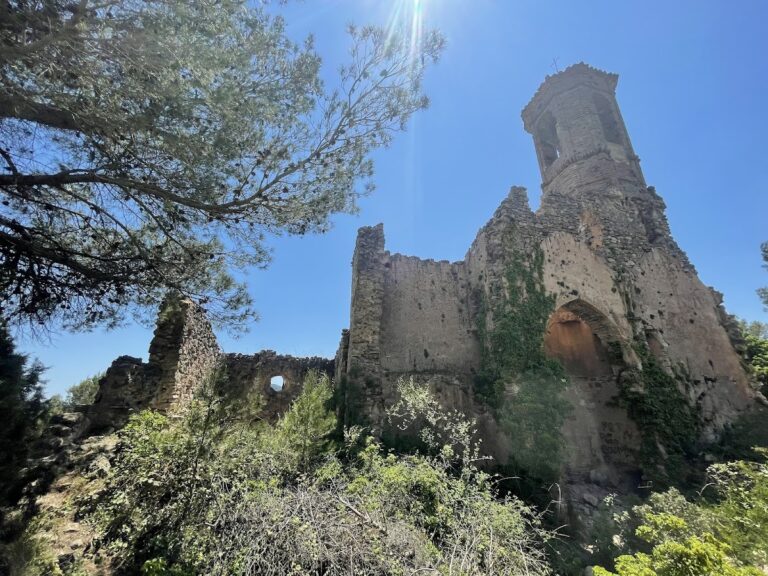 Castillo de Selma: A medieval hilltop castle in Aiguamúrcia, Spain