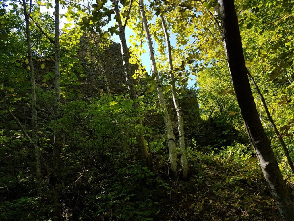 Ruine Alt-Ehrenfels: Remains of a Thirteenth-Century Hilltop Castle 2 Ruine Alt-Ehrenfels