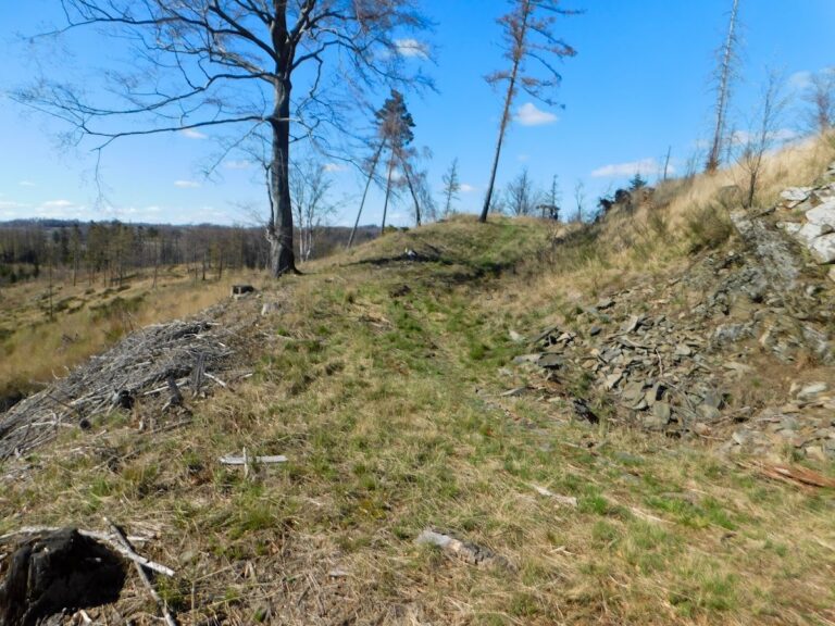 Burkvíz: A Medieval Castle Ruin in Czechia
