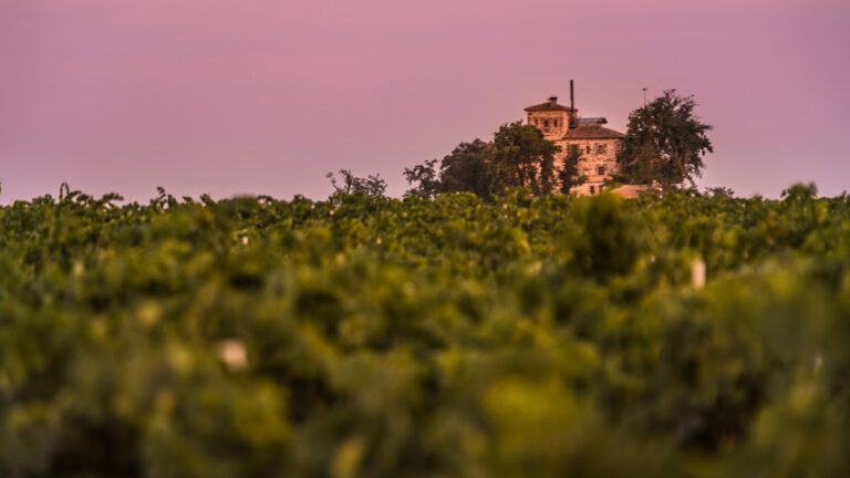 Castell de Raïmat: a medieval Arab-origin castle in Lleida