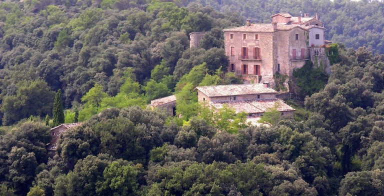 Castell de Savassona: A Medieval Castle and Territorial Lordship in Catalonia