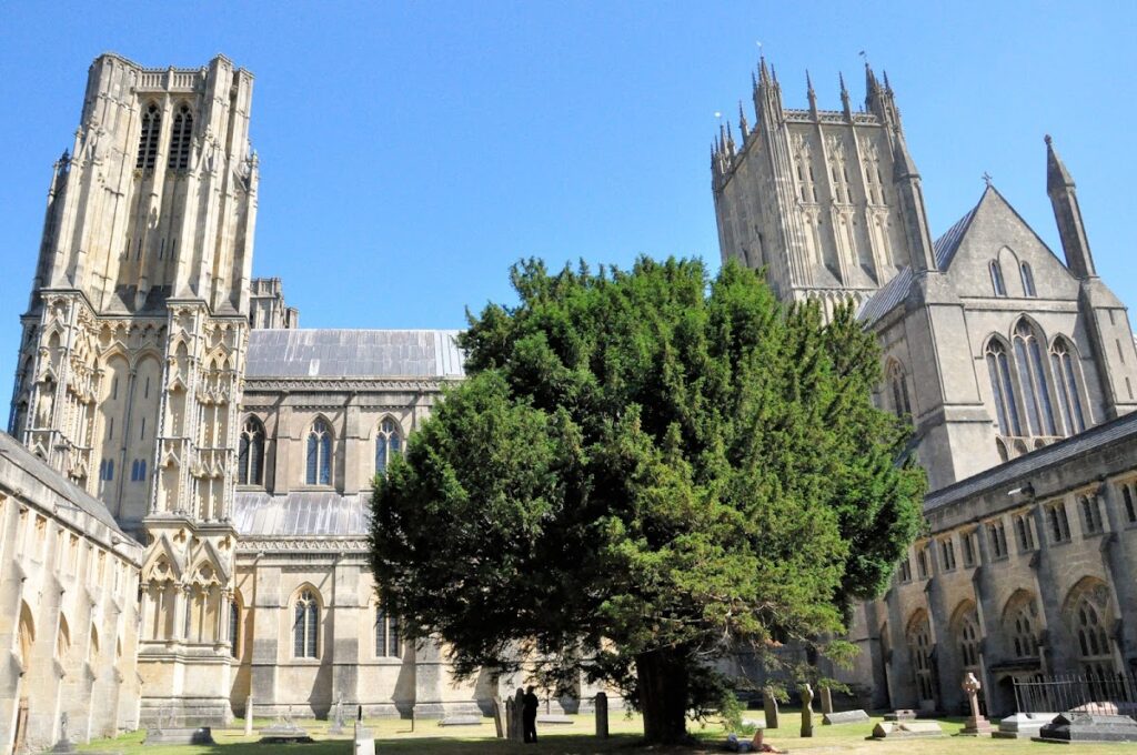 Wells Cathedral: A Gothic Cathedral and Episcopal Seat in England 2 Wells Cathedral
