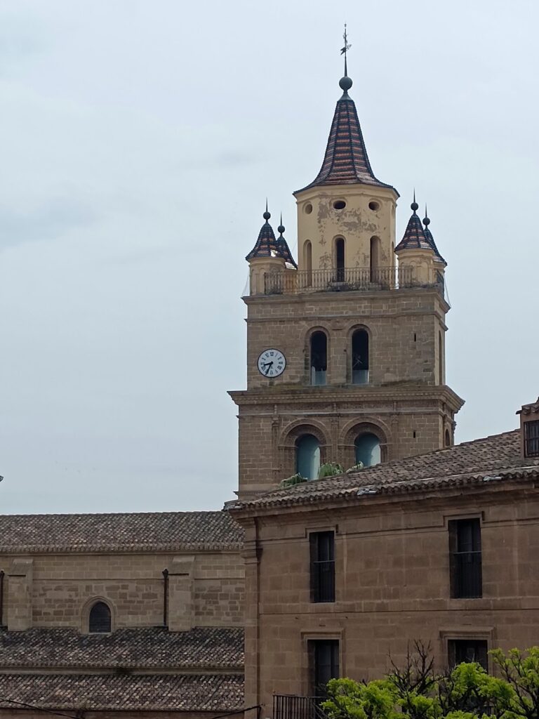 Cathedral of Santa María of Calahorra: Seat of a Historic Diocese in Spain 3 Cathedral of Santa María of Calahorra