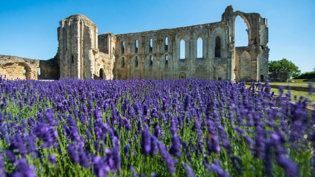 Maillezais Cathedral: A Former Benedictine Abbey Church in France 1 Maillezais Cathedral