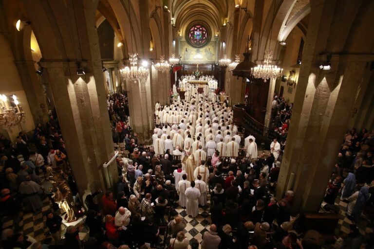 Toulon Cathedral: A Roman Catholic Cathedral in France