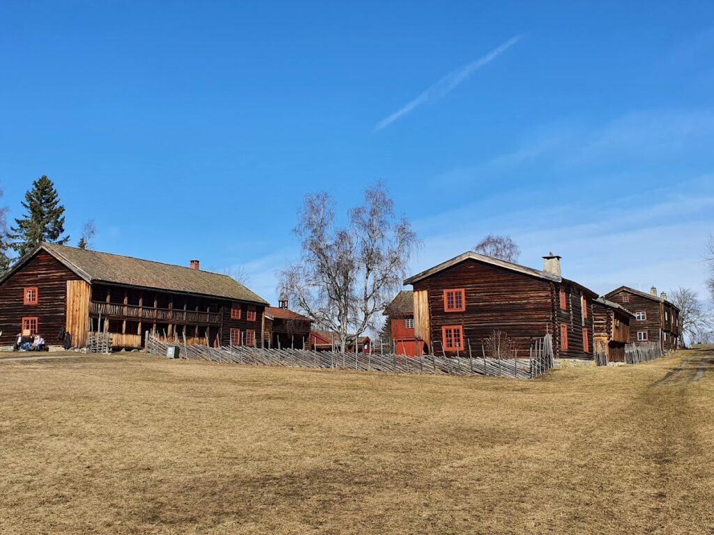 Cathedral Ruins in Hamar: Medieval Cathedral and Protective Building 5 Cathedral Ruins in Hamar