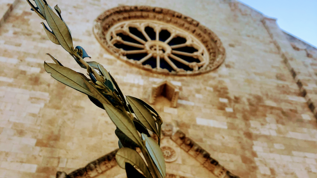 Cathedral Basilica of the Assumption of Mary