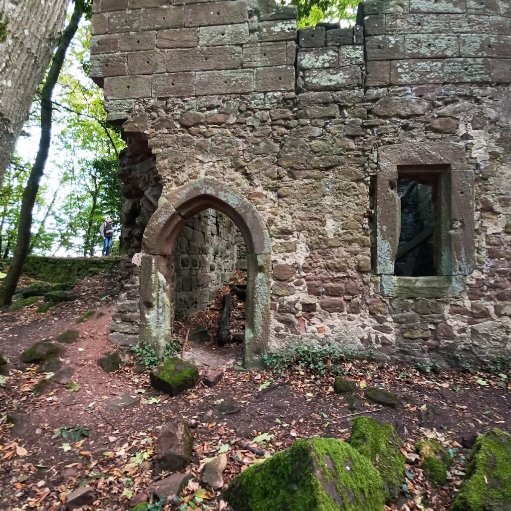 Château de Herrenstein: A Medieval Spur Castle in France 2 Château de Herrenstein